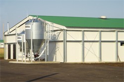 Ruukki разработала здания с внешним каркасом.